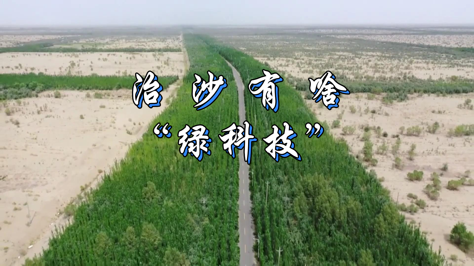 綠染荒漠 點(diǎn)沙成金｜治沙有啥“綠科技”