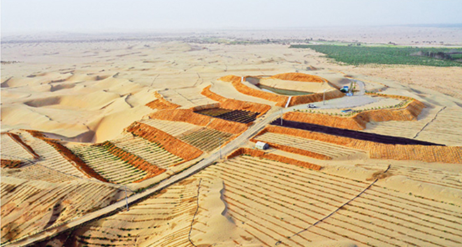 大漠之邊的綠色傳奇