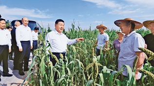 堅持把解決好&ldquo;三農&rdquo;問題作為全黨工作重中之重，舉全黨全社會之力推動鄉(xiāng)村振興