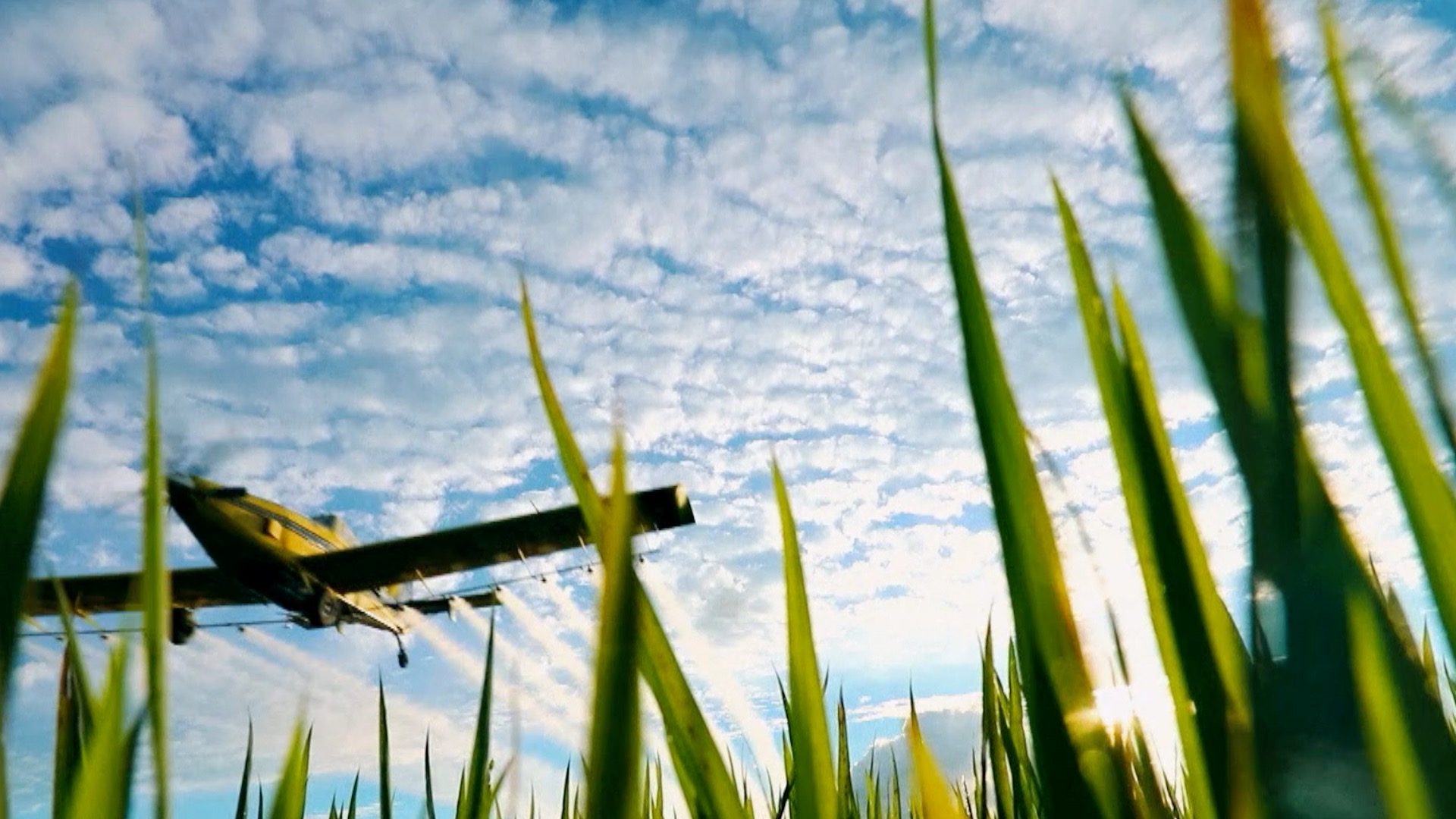 十八大開啟中國特色社會(huì)主義新時(shí)代