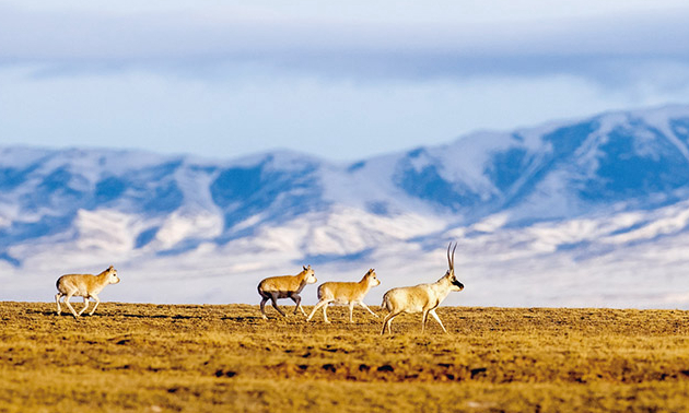 深入學習領(lǐng)會習近平總書記關(guān)于全面深化改革的重要論述