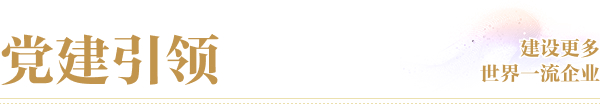 黨建引領s