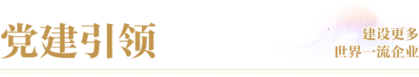 黨建引領