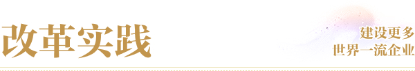 改革實踐s